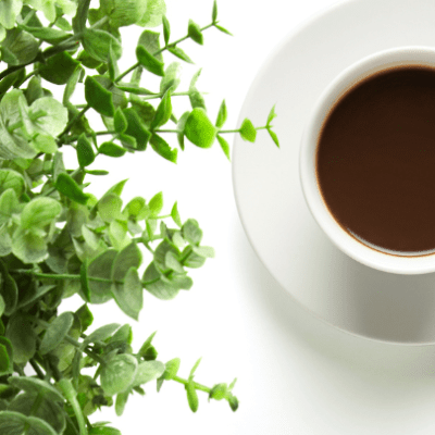 #FichePratique : Réflexes simples pour le&nbsp;référencement