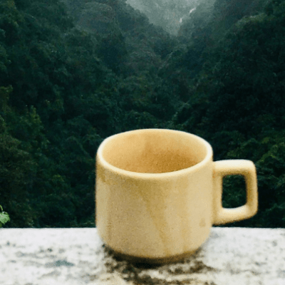 Expérience Sportive Augmentée : Transformer les Fans en&nbsp;Acteurs